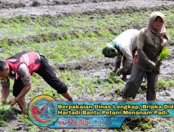 Berpakaian Dinas Lengkap, Bripka Didi Hartadi Bantu Petani Menanam Padi