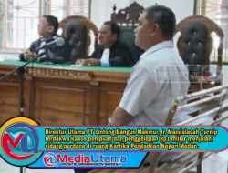Beri Cek Kosong, Direktur PT Lintong Bangun Makmur Jalani Sidang Perdana di PN Medan