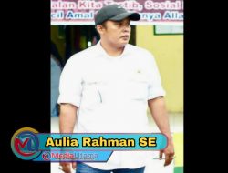 Putra Melayu Deli, Aulia Rahman Berpotensi Menjadi Wakil Wali Kota Medan