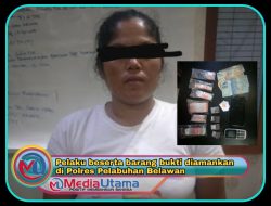 Miliki 4 Gram Sabu, IRT Warga Kampung Nelayan Diamankan Polres Belawan