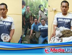 Bandar Daun Ganja Asal Tanjung Morawa Berhasil Diringkus Polisi