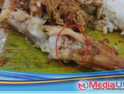 Viral Nasi Bungkus Isi Lauk Ikan Lele Berbelatung di Medan