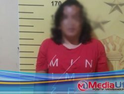 Ancam IRT dengan Airsoft Gun, Warga Medan Denai Ditangkap Polisi