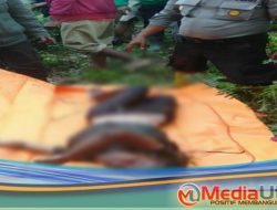 Warga Desa Perbaungan Asahan Dihebohkan dengan Penemuan Mayat Wanita 
