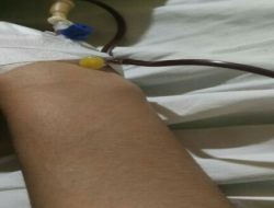 Pelaku Belum Ditangkap, YLBH APIK Kaltim Dampingi Ibu Bernasib Malang Korban KDRT