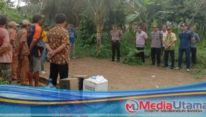 Polsek Delitua Bersama Muspika Medan Tuntungan GKN, 10 Orang Diamankan