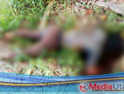 Seorang Pelajar Ditemukan Tewas Membusuk di Perladangan Sei Mencirim