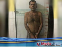 Curi Empat Ekor Lembu, Pria Warga Kutalimbaru Diamankan Polisi