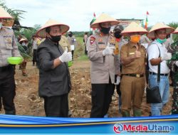 Tingkatkan Ketahanan Pangan, Polres Asahan Bersama Dinas Pertanian Laksanakan Program Tanam Jagung Hibrida