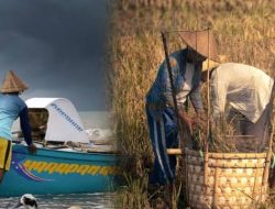 Jokowi Gelontorkan Rp34 Triliun untuk UMKM, Petani dan Nelayan