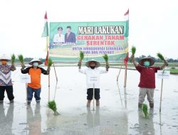 Bupati Asahan Hadiri Penanaman Padi Sawah Serentak di Desa Serdang Kecamatan Meranti