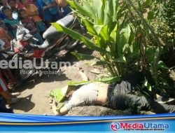 Berhasil Bawa Kabur Sepeda Motor, Pelaku Curanmor Tewas Usai Menabrak Pohon