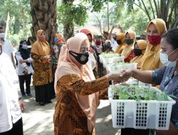 Ketua TP PKK Kab. Asahan Ikuti Gerakan Tanam Cabai