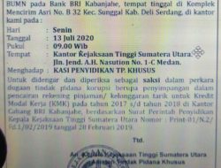 Layangkan Surat Panggilan Saksi Melalui Media, Anggota DPR RI Nilai Kejatisu Lebay