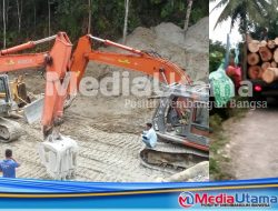 Kades Siap Dipanggil Polda Sumut Terkait Penebangan Kayu di Desa Gunung Manumpak B