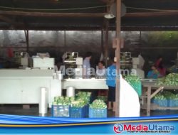 Pecat Karyawan Saat Hamil Tua, Pabrik Juara Juga Tidak Daftarkan Semua Pekerjanya ke BPJS