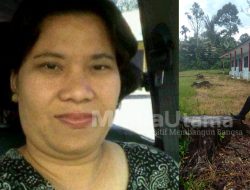 Penebangan 6 Pohon Mahoni di SMPN 2 Jorlang Hataran, Formikom Minta Agar Ditindaklanjuti Secara Hukum 
