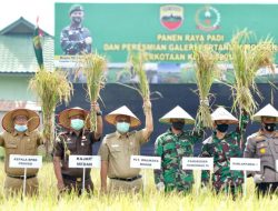 Akhyar Harap Panen Raya Kodim 0201/BS Dukung Ketahanan Pangan