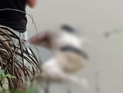 Satu dari Dua Korban yang Hanyut di Sungai Silau Beting Kisaran Ditemukan Tak Bernyawa