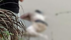 Satu dari Dua Korban yang Hanyut di Sungai Silau Beting Kisaran Ditemukan Tak Bernyawa