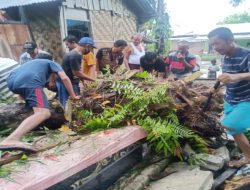 Camat Kota Kisaran Barat Kunjungi Rumah Warga yang Tertimpa Pohon Sawit