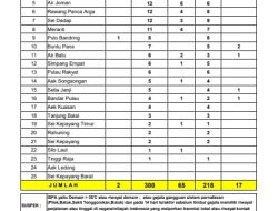 Update Terbaru Sebaran Covid-19 di Kabupaten Asahan