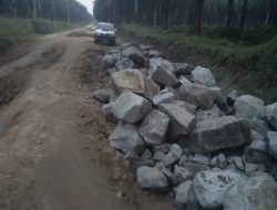 Sempat Viral Dengan Aksi Unik Warga Mandi Lumpur, Jalan Desa Padang Pulau Mulai Diperbaiki