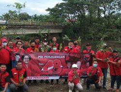 HUT ke-48, PAC PDIP Medan Johor Tanam Ratusan Pohon