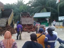 Pasca 25 Hari Didemo Warga, PT Sri Timur Merugi Ratusan Juta Rupiah