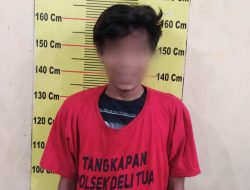 Kepergok Curi HP, 1 dari 2 Pelaku Diamankan Polsek Delitua 