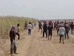 PELAKU BENTROK BERDARAH DI LAHAN TEBU TERTANGKAP, ADA ANGGOTA DPRD INDRAMAYU