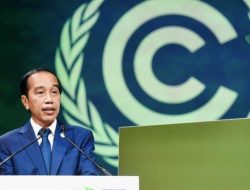 JOKOWI: INDONESIA AKAN BANGUN PUSAT MANGROVE DUNIA
