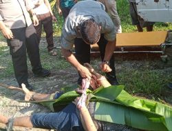 SESOSOK MAYAT WANITA DITEMUKAN DI TALUN KENAS