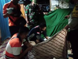 PRIA GANTUNG DIRI DI POHON COKLAT