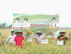 Anggota DPR RI Djarot Syaiful Puji Program Cetak Sawah yang Diinisiasi Bupati Darma Wijaya