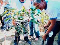 Lestarikan Lingkungan, Pelindo Tanam 2000 Tanaman Endemik di Belawan