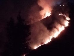Puluhan Hektare Hutan dan Lahan Terbakar di Tongging Karo