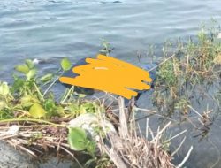 Warga Dikejutkan Temuan  Mayat OTK Terapung di Tepian Danau Toba