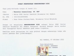 Wanretno Simanullang Mundur dari Demokrat, Begini Suratnya
