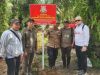 Kejati Sumut Sita 105 Hektar Lahan, Terkait Dugaan Korupsi Alih Fungsi Hutan