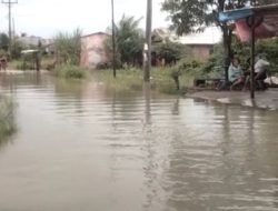 Pemukiman Warga dan Ruas Jalan di Desa Sialang Buah Tergenang Banjir