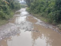 Jalan Penghubung antar Desa di Juhar Hancur-hancuran