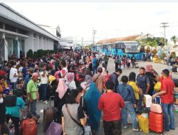 Ribuan Pemudik Padati Pelabuhan Belawan