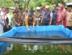 Wali Kota Padang Sidempuan Tabur 30 Ribu Bibit Ikan Lele ke Kolam-kolam Pembesaran