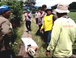 Sempat Dikejar, Dua Maling Lembu Tewas Diamuk Massa