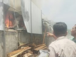4 Rumah di Medan Petisah Hangus Terbakar