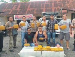 Dua Kurir dan BB 105 Bal Ganja Kering Diamankan Aparat Polsek Tanjungpura