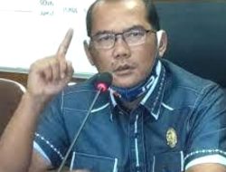 Penebangan Pohon tanpa Ijin di Jalan Asrama, Antonius: Itu Illegal Logging Dalam Kota