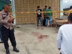 Abang Adik Bacok-bacokan di Samosir, Abang Tewas Adik Luka Bacok