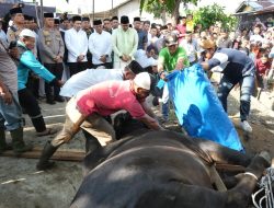 Wali Kota Medan Beserta Keluarga Sumbang Dua Ekor Hewan Kurban di Kecamatan Medan Deli